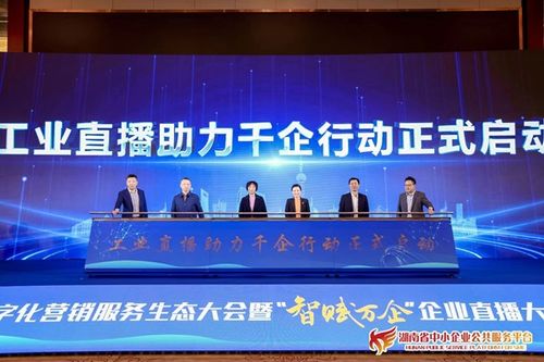 湖南省数字化营销服务生态大会成功举办，赋能制造业数字化转型