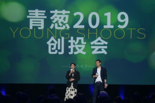 陈坤周迅助力青葱新锐 第四届青葱计划十强携“小葱”项目亮相影业服务平台